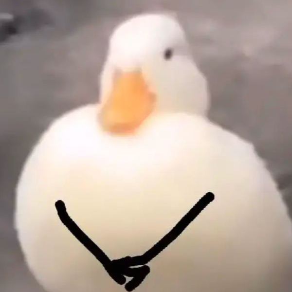 墨生233