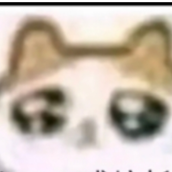 鹿大夫