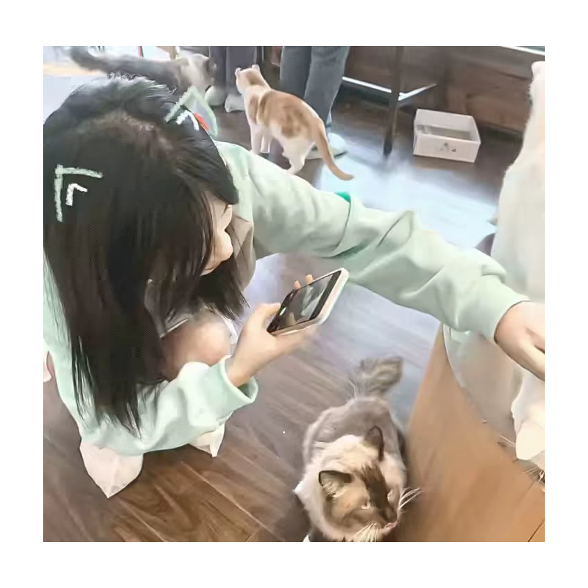 宁