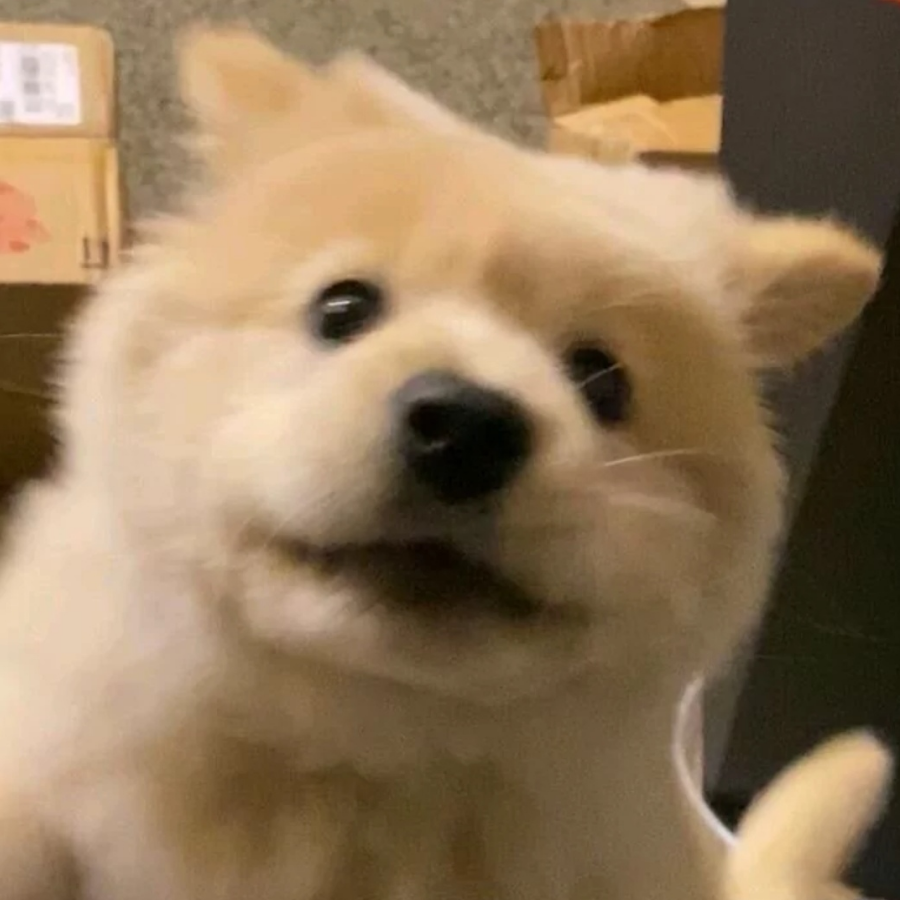 迪奥