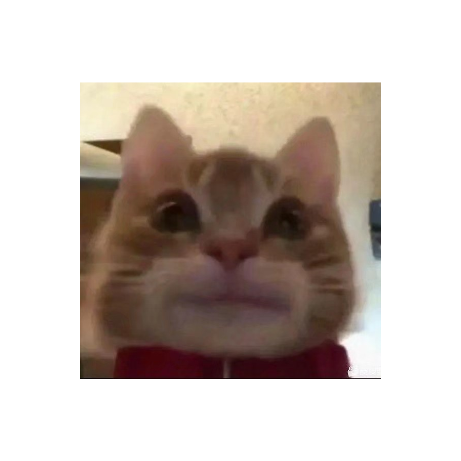 臭豆腐自由