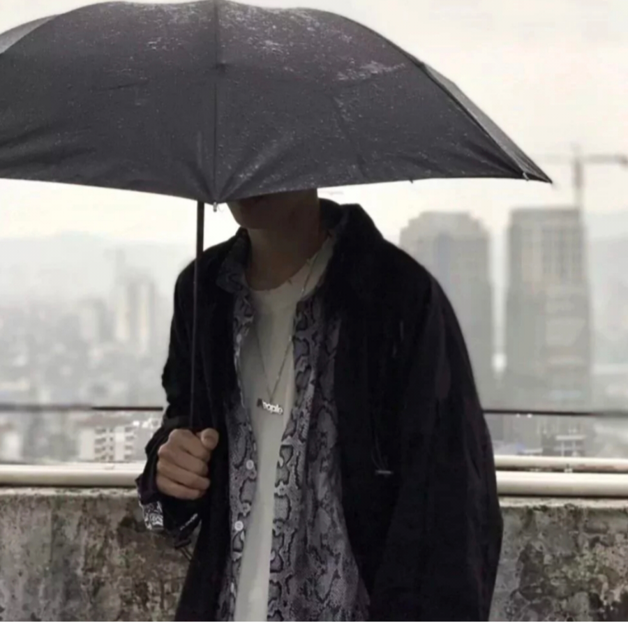 俨然