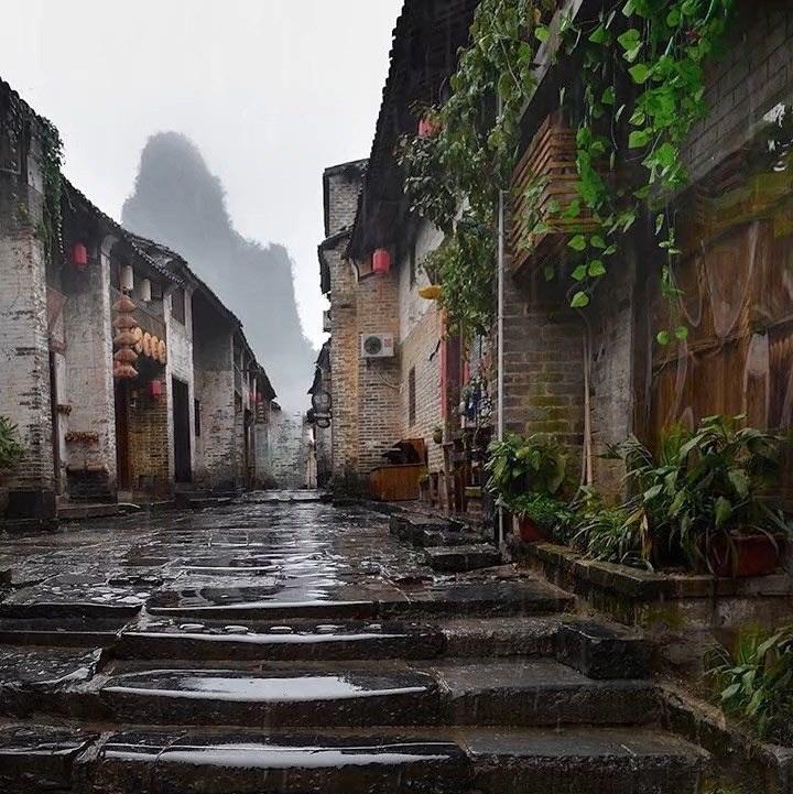 雨巷的泥泞
