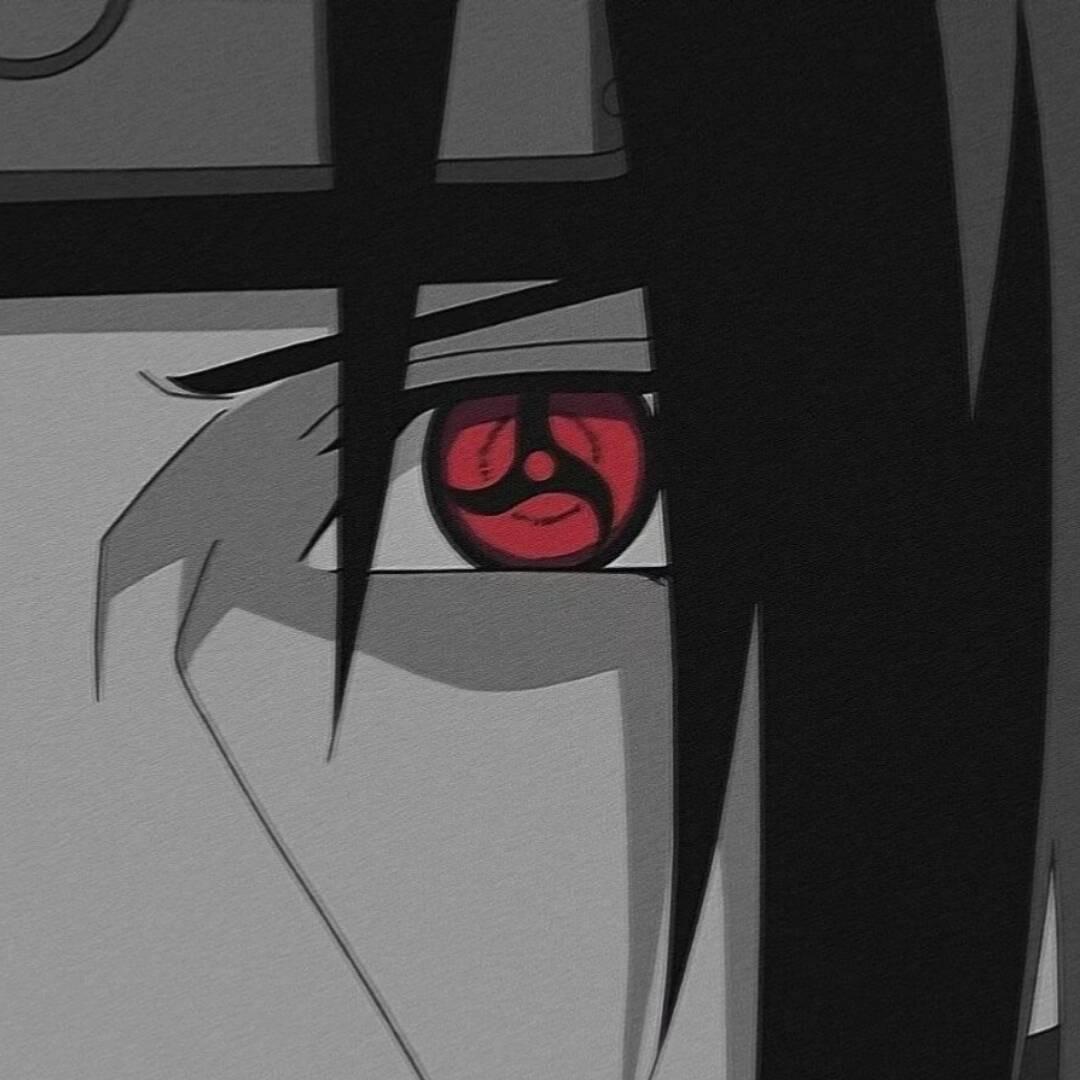 。。。。