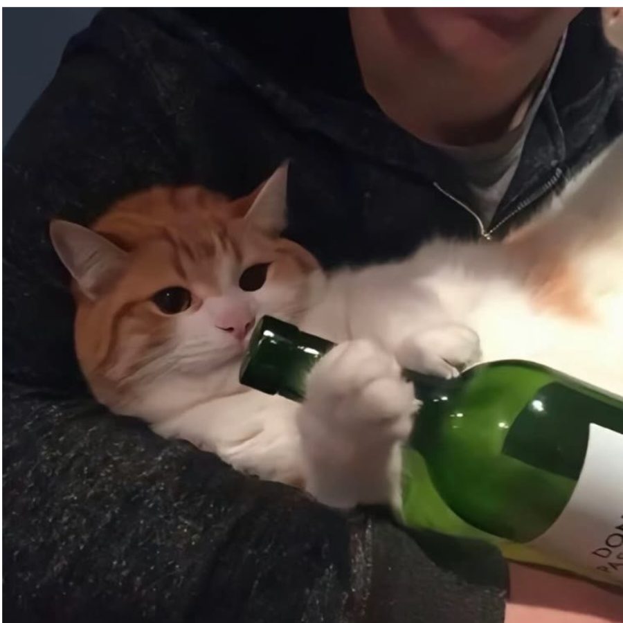 黄广谌