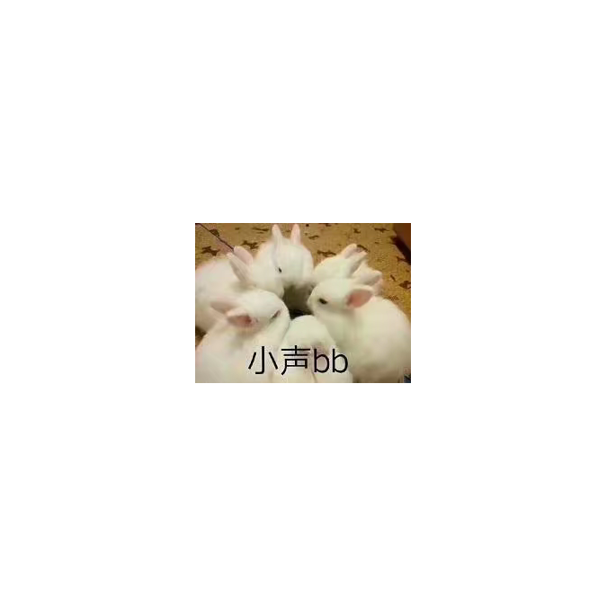 璃茉