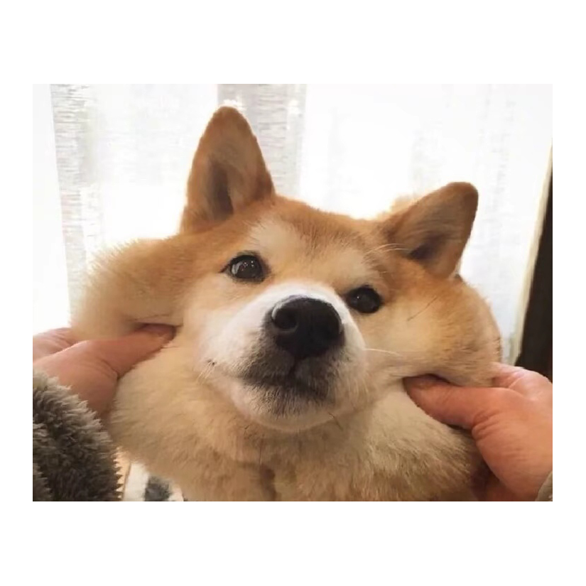 小川