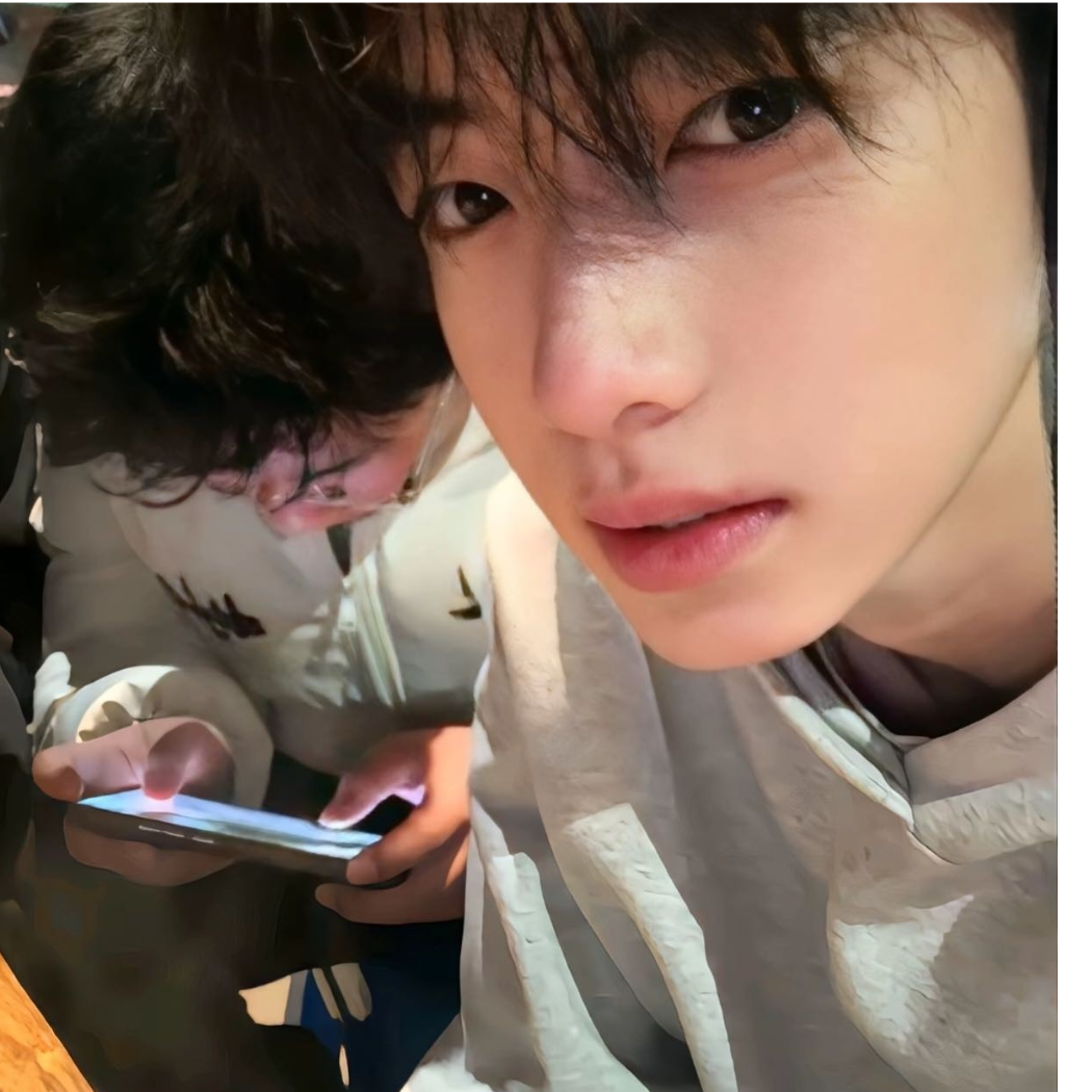晚睡小狗