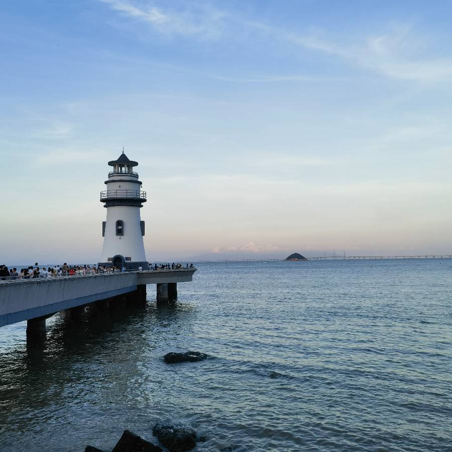 衍小叶