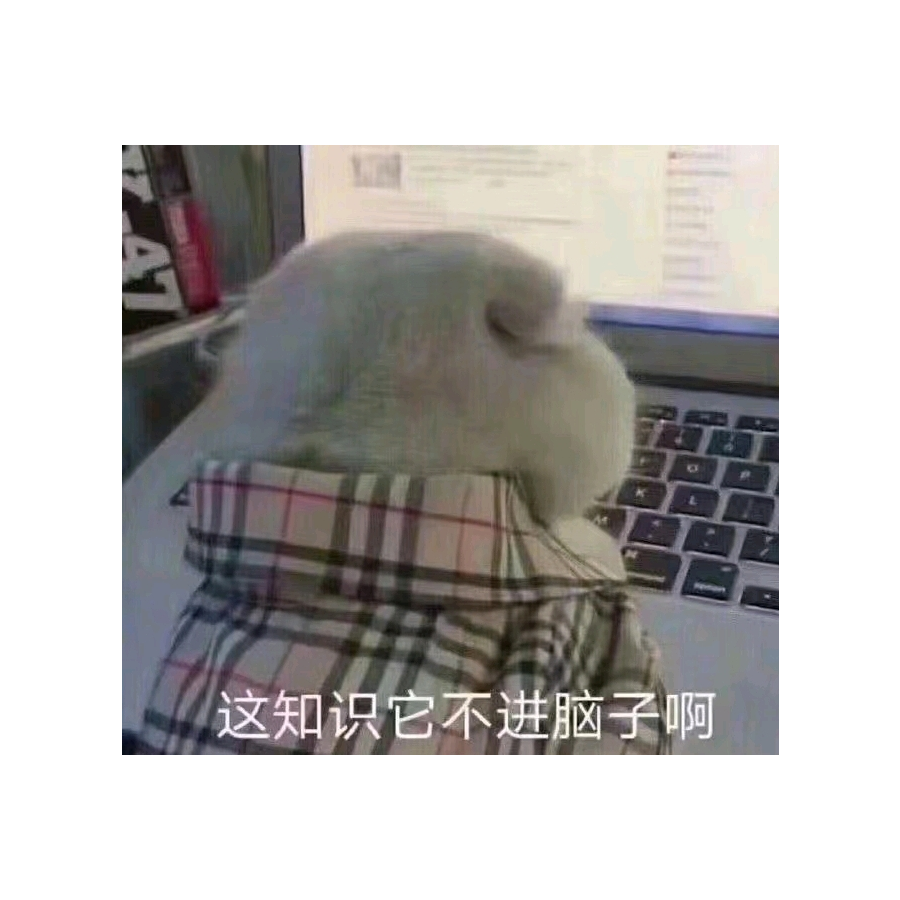 岁月远yzc