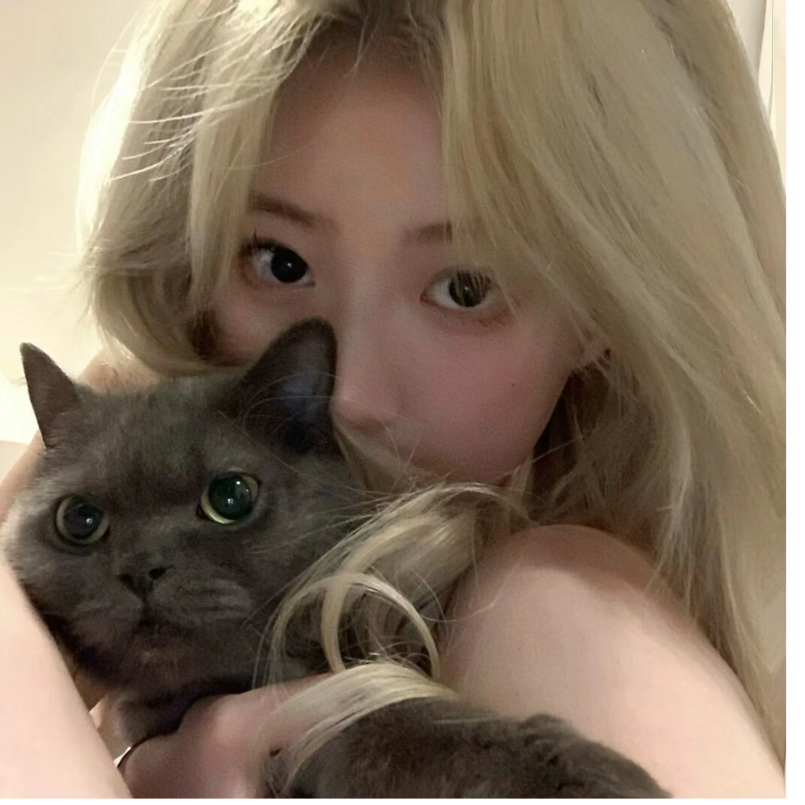 淼