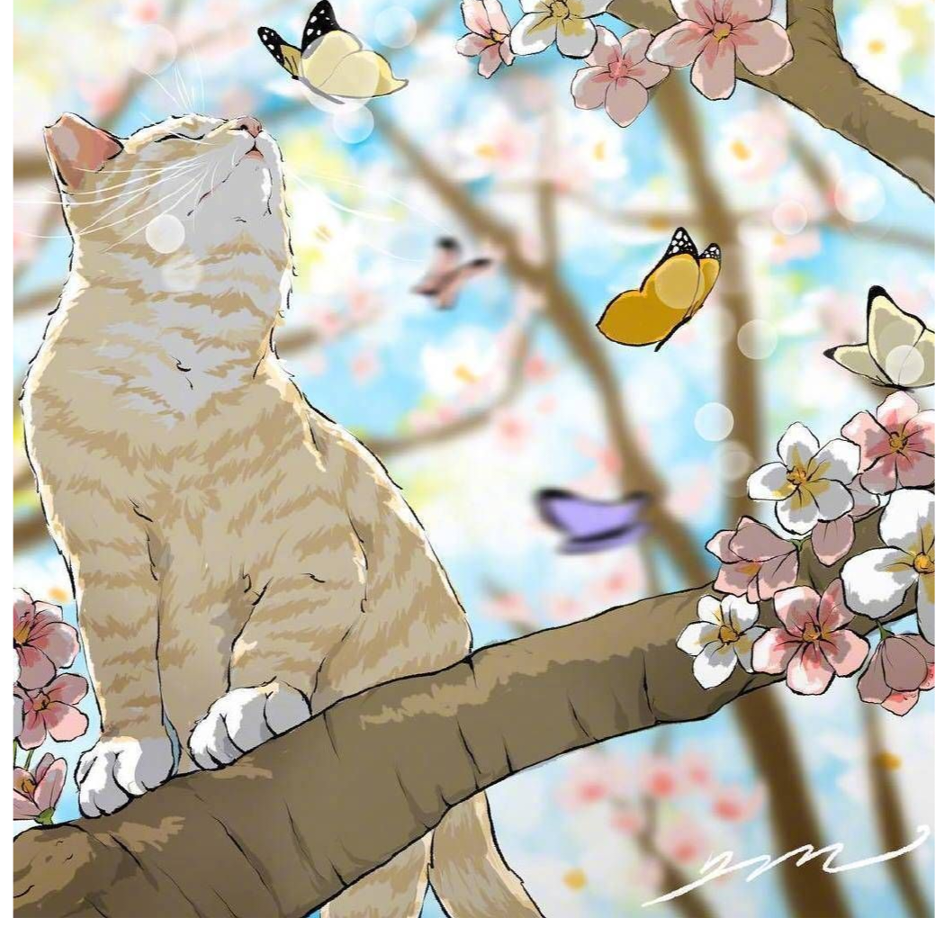 亦