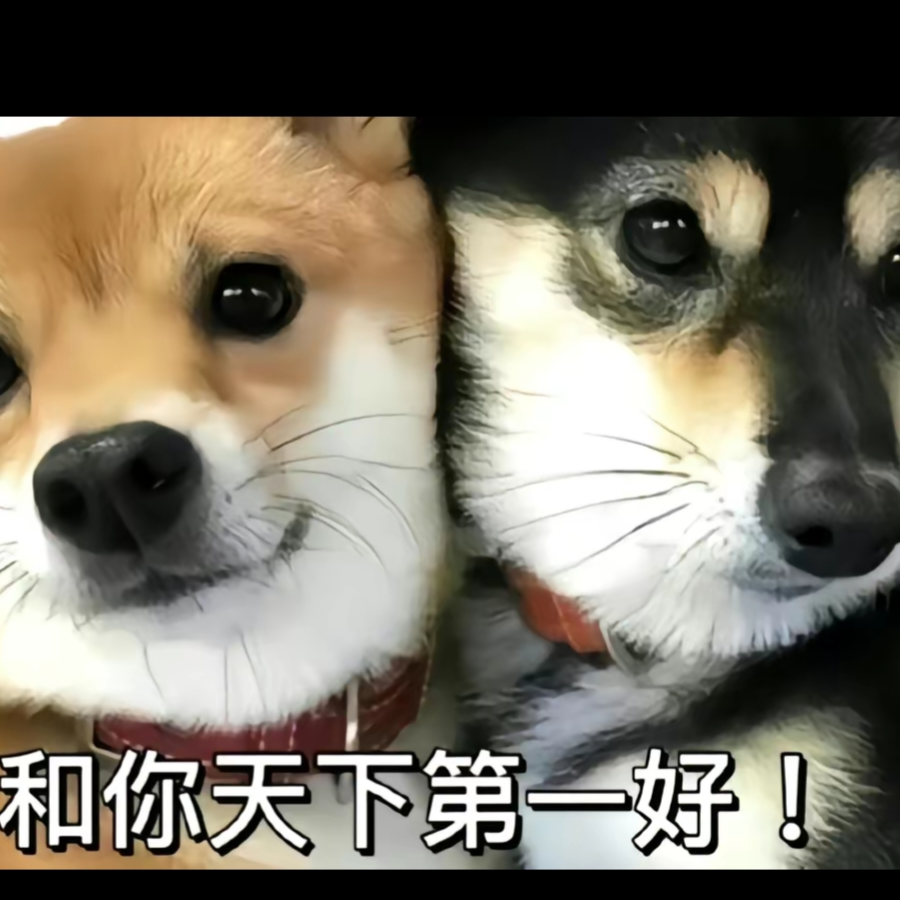 知世