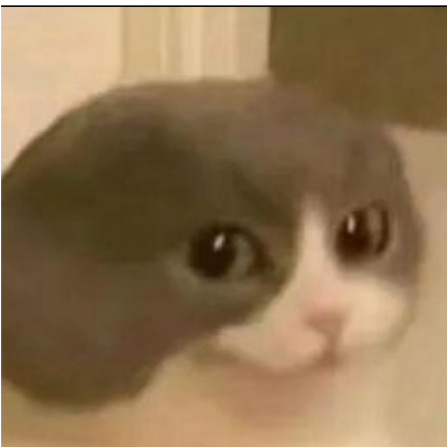 LY