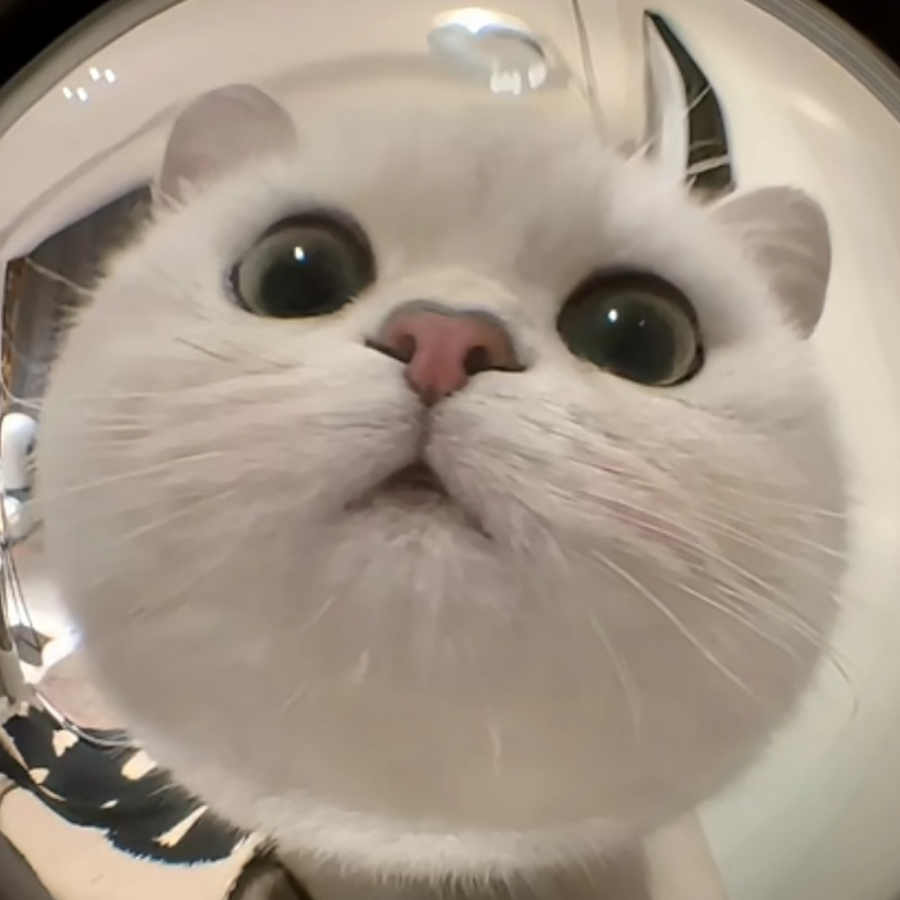 凌魆