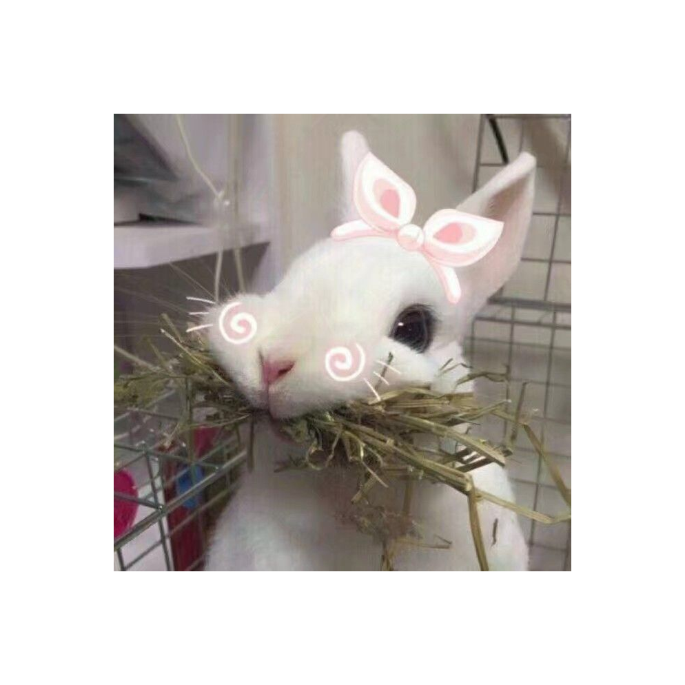 三三