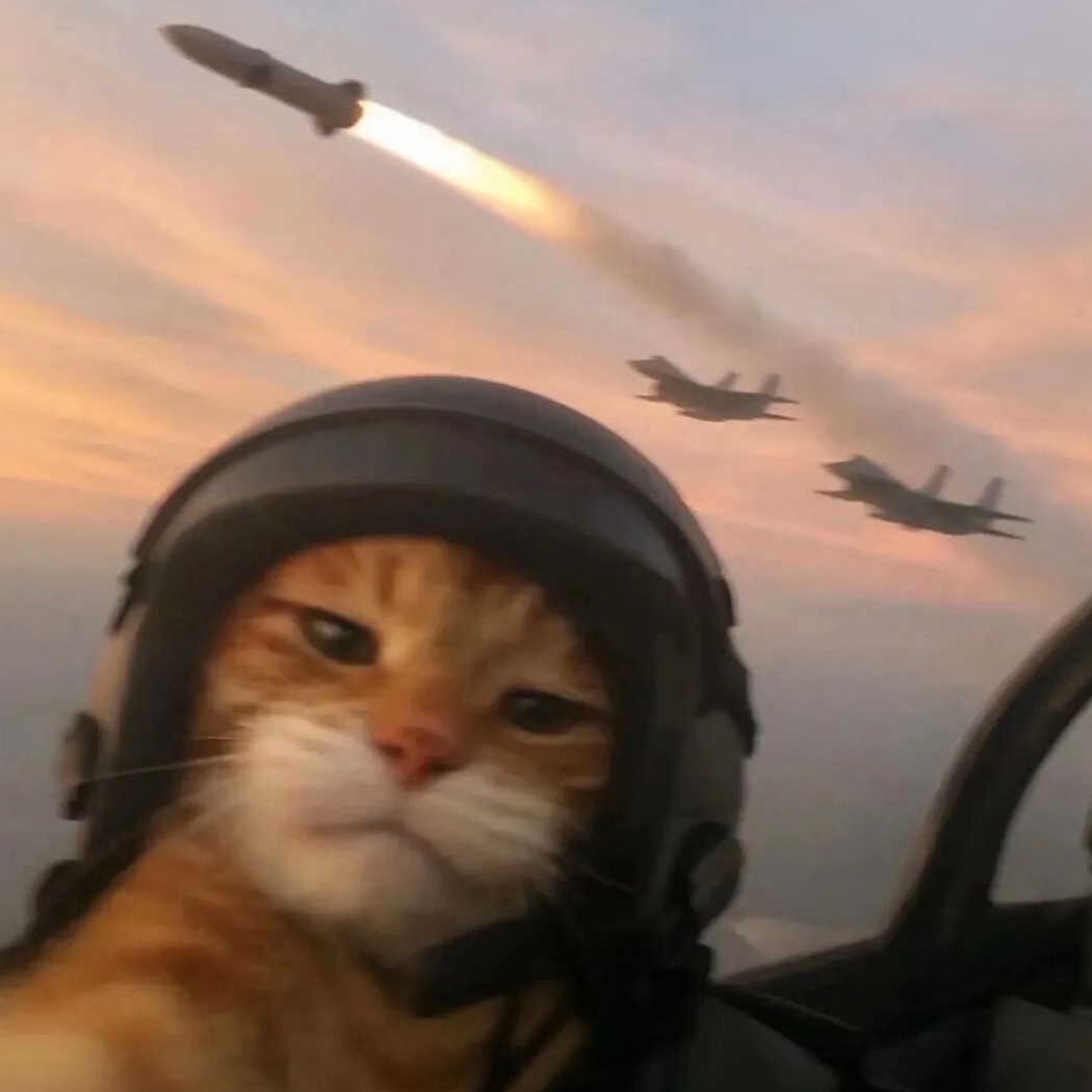 王牌飞行员正在起飞