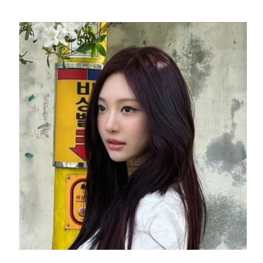 爱吃萝卜的小容