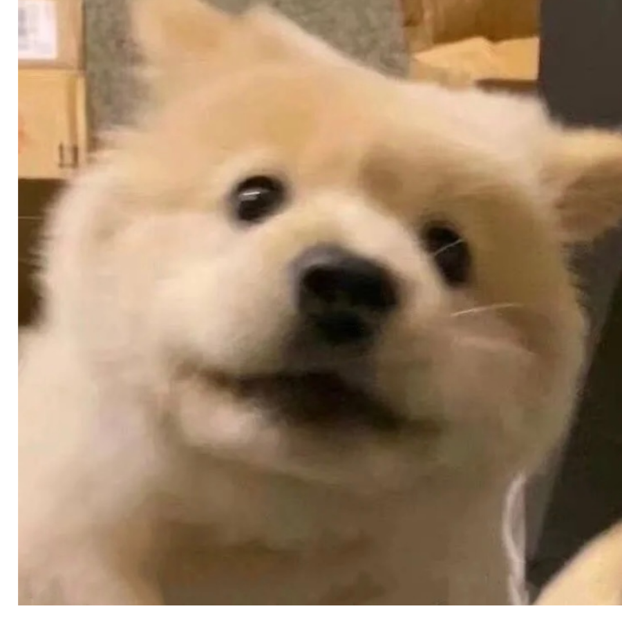【　】