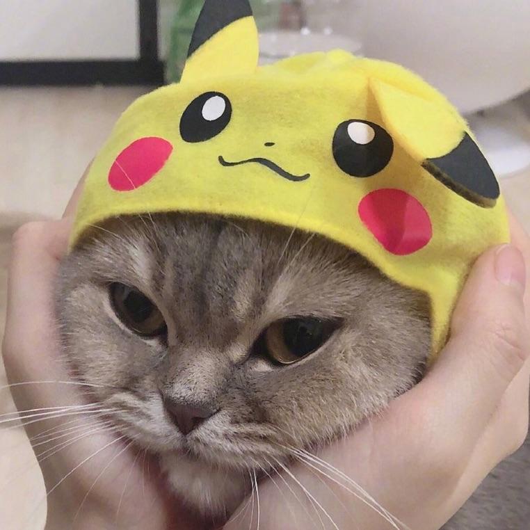 康