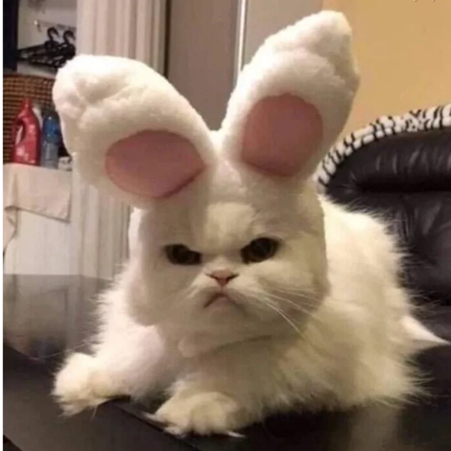 枕似