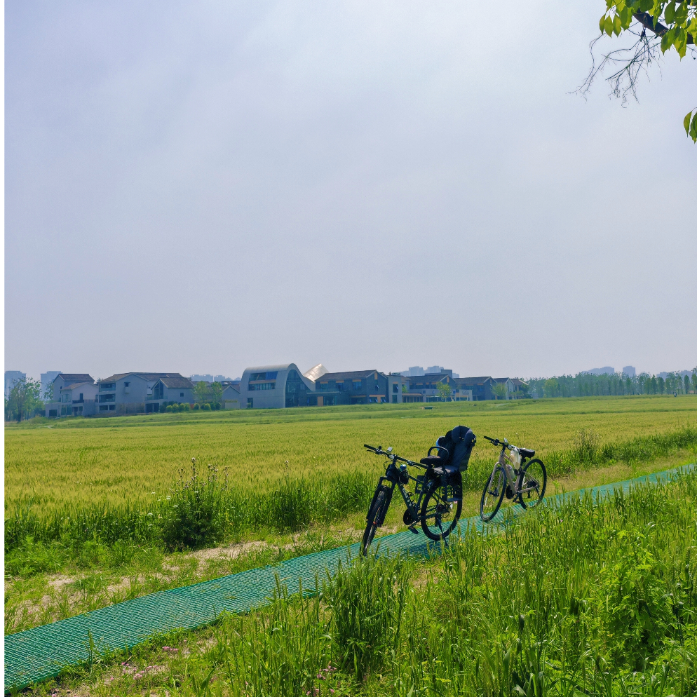 黑化肥挥发发灰会飞花