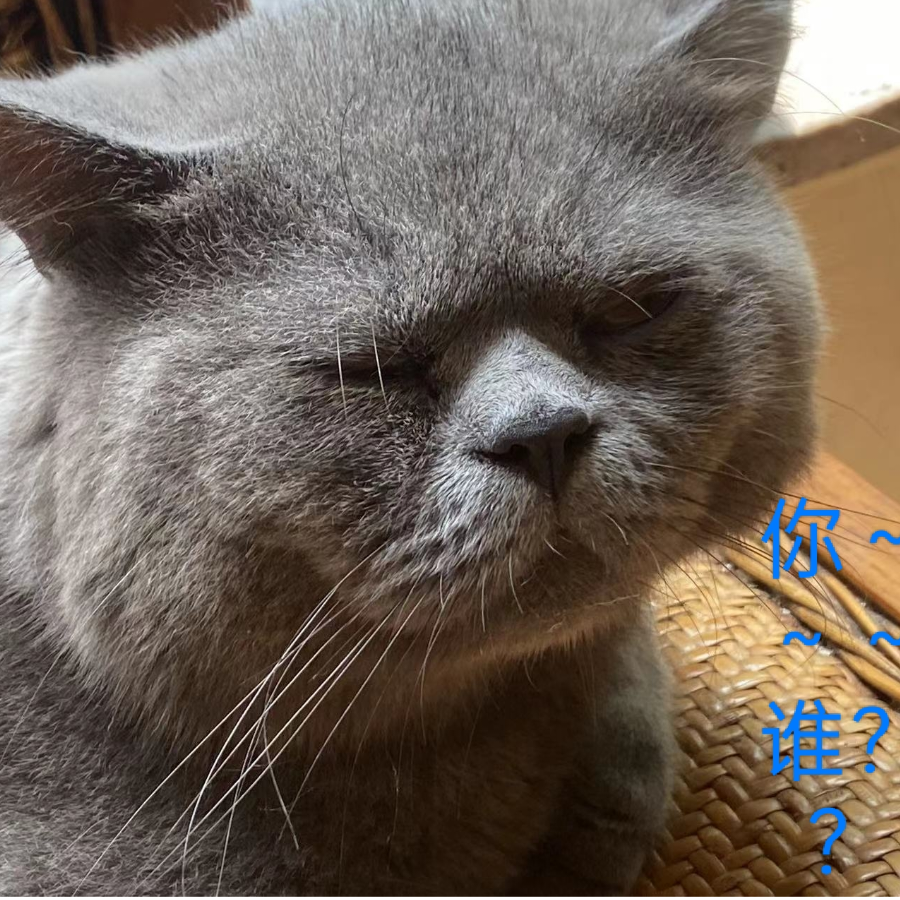 整齐的猫猫卡