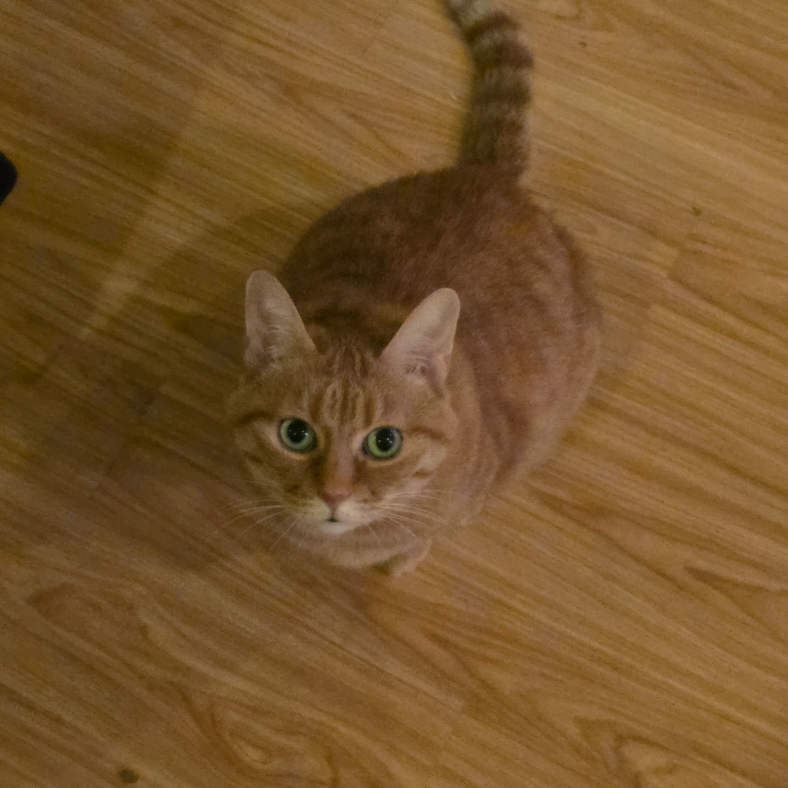 手机用户60535088