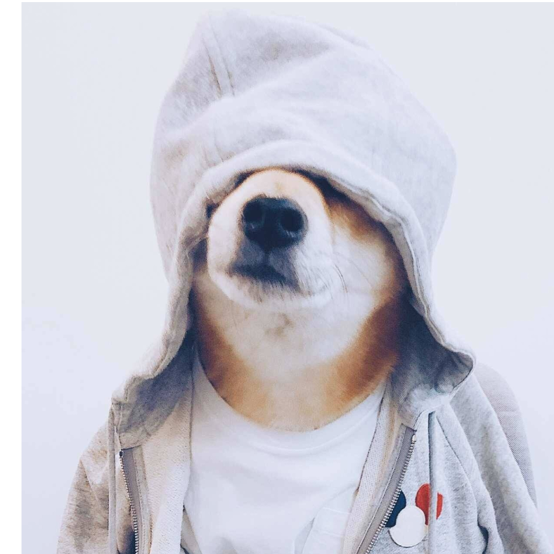 瞴