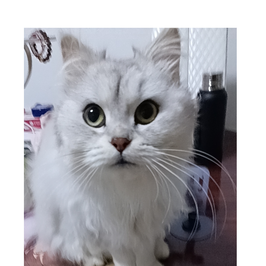 Jeyo