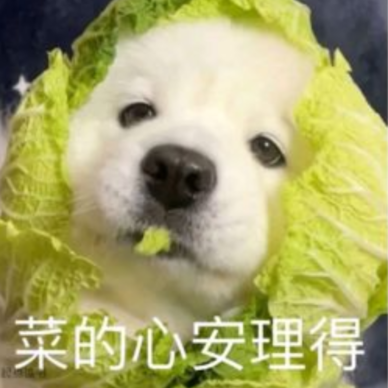 泡芙是只猫