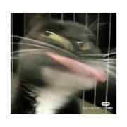 古拉拉黑暗之神