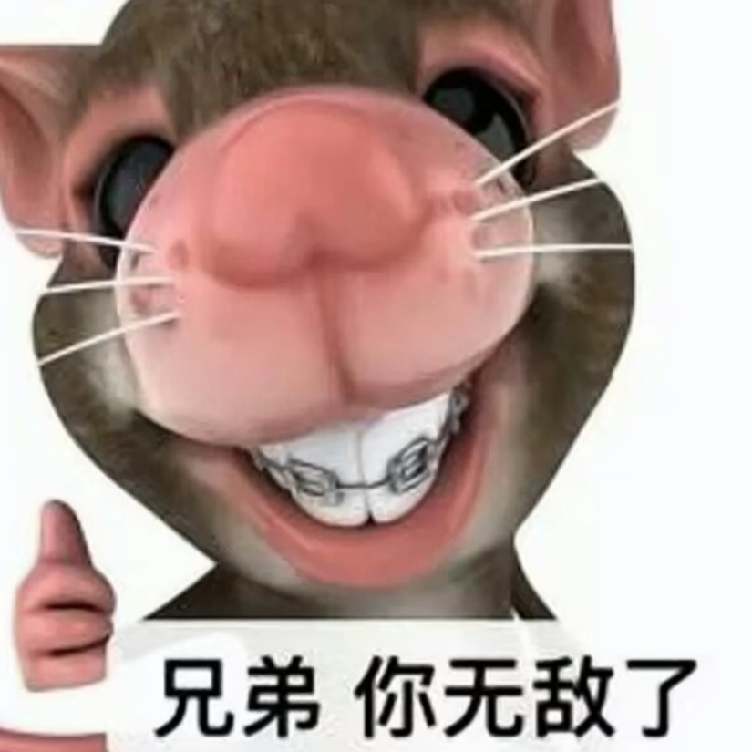 全网最便宜