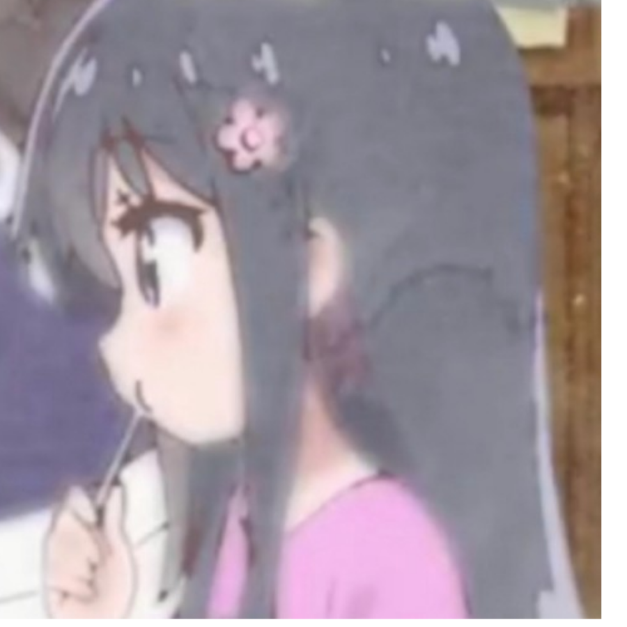 椰羊王小美