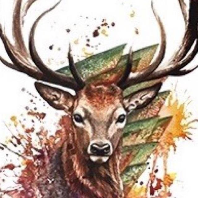 Lyndon.D 