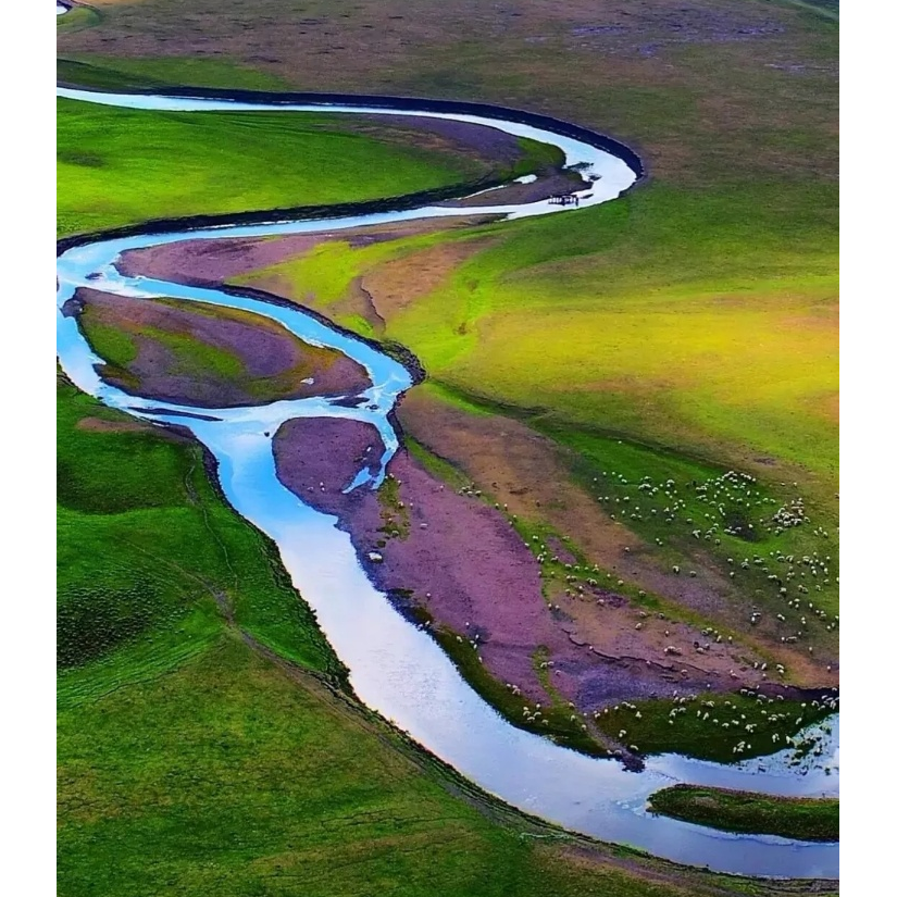 清风拂山岗