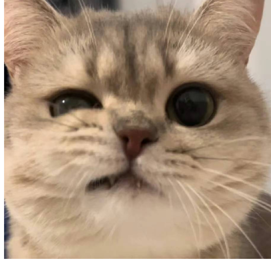 这次能欧吗