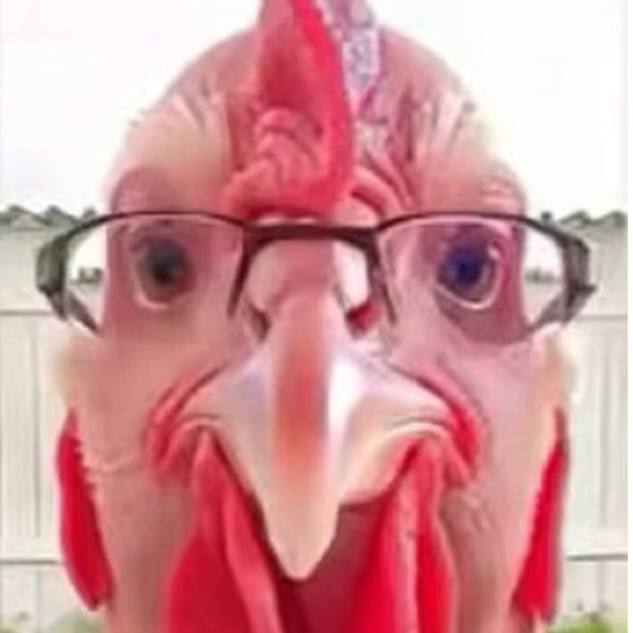 wyd