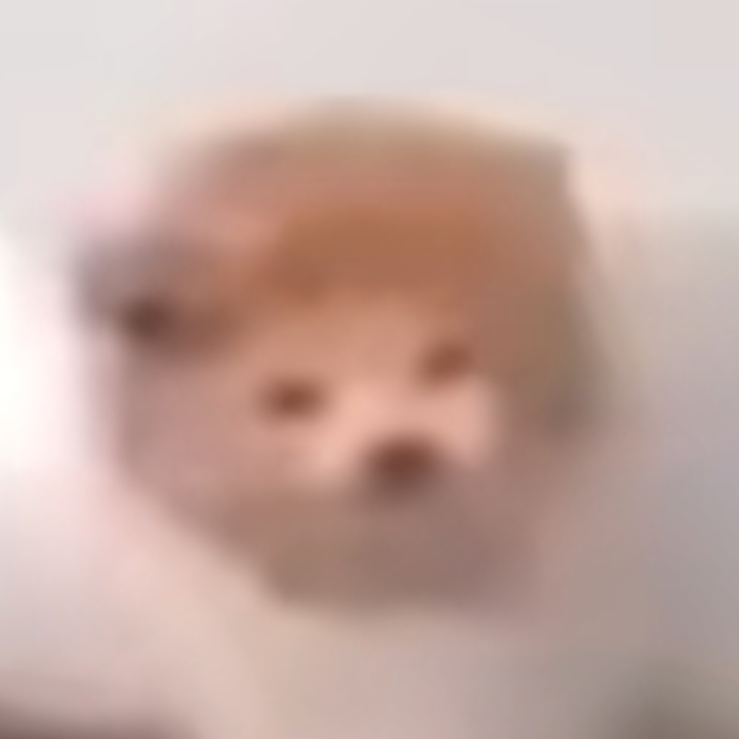 疾风红