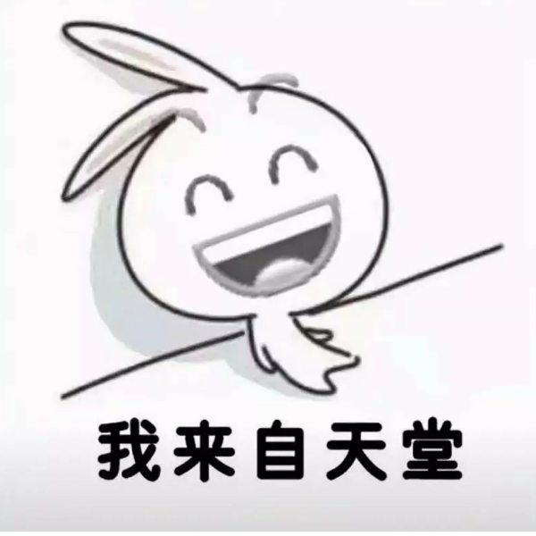 呆呆