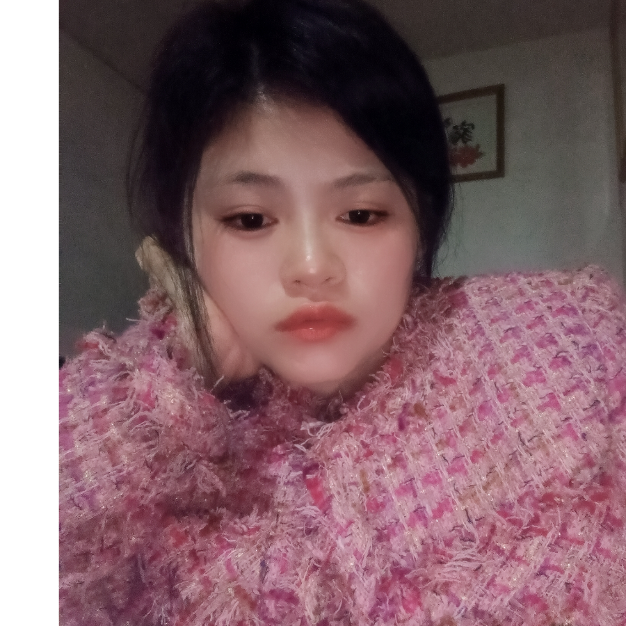 卧虎藏龙～梅梅