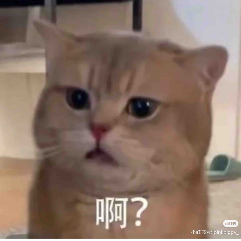 枝栖