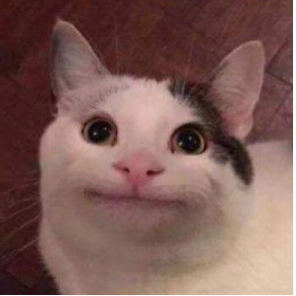 是鲈鱼不是鱼露