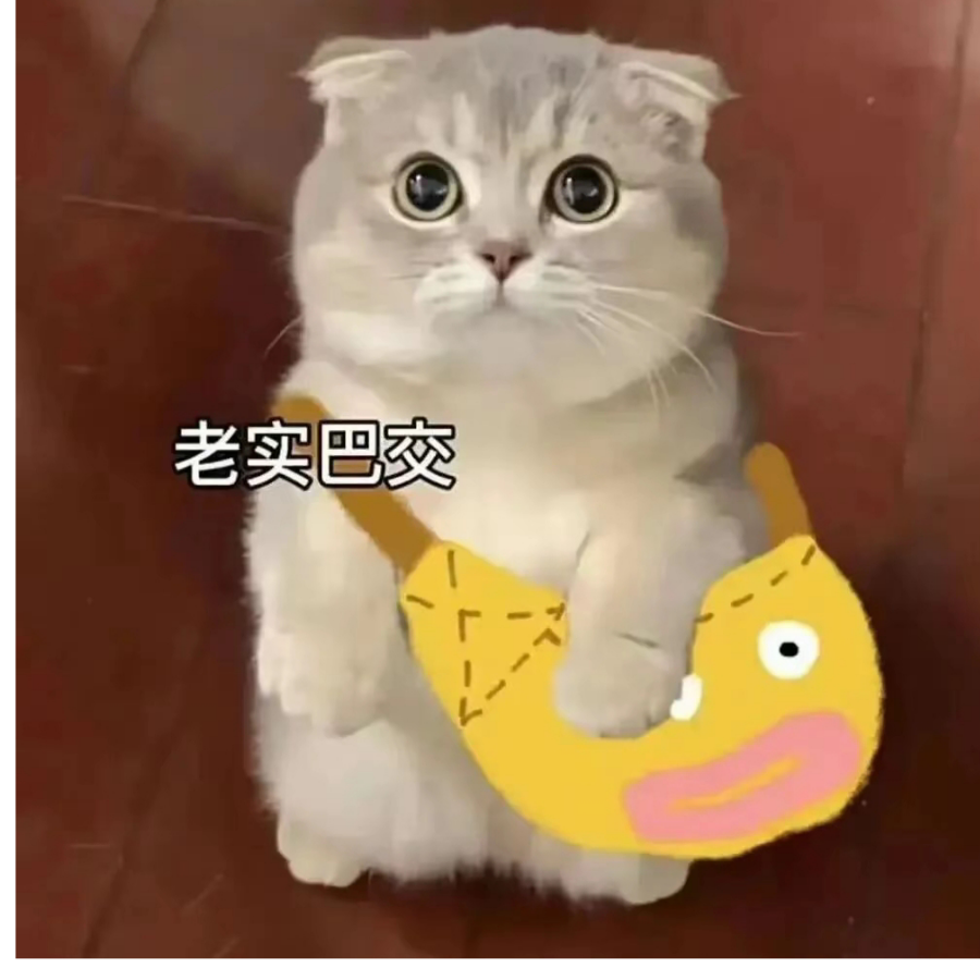 秋刀鱼会过期