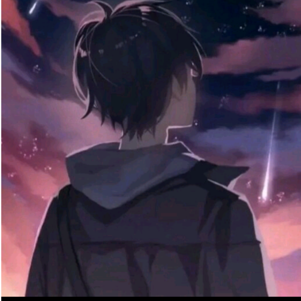 伽鸿