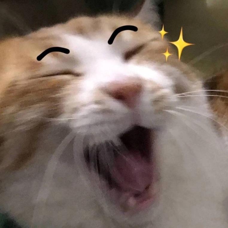 Reneeacid