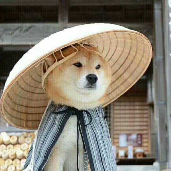 ，，，