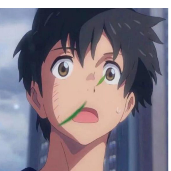 （｡ò ∀ ó｡）