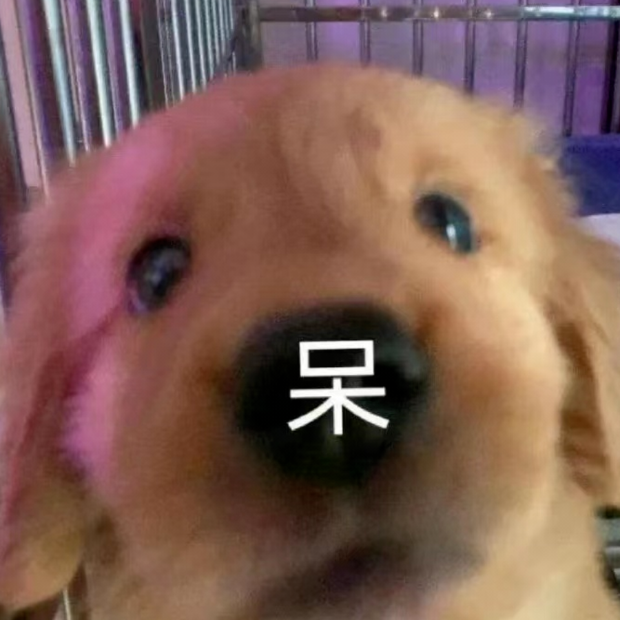 樱桃小丸犊子