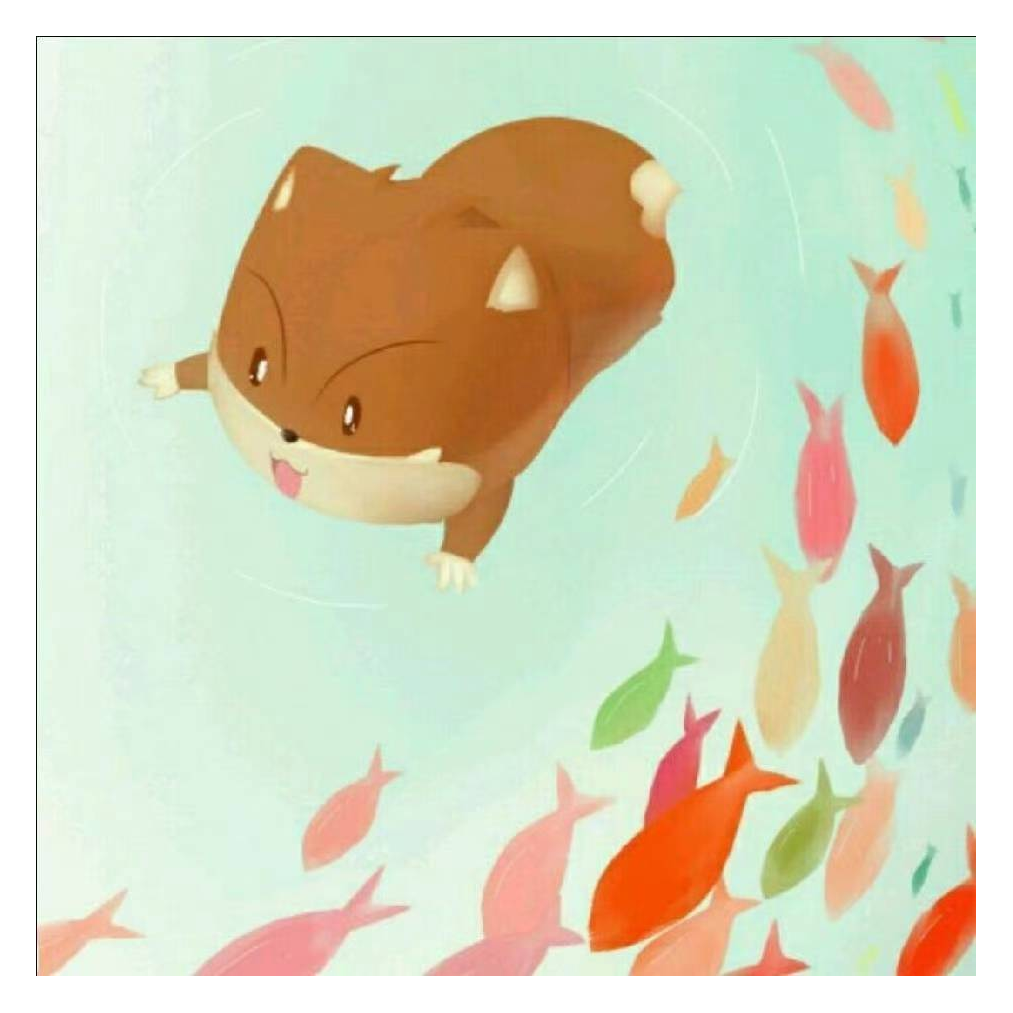 北觅